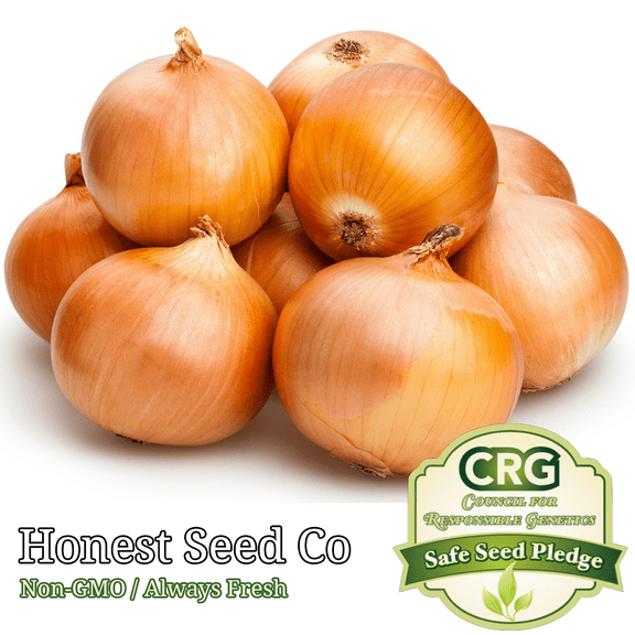 Yellow Sweet Onion Seeds | Non-GMO | Heirloom | Fresh Garden Seeds USA