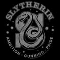 thumbnail image 2 of Men's Harry Potter Slytherin Ambition, Cunning, and Pride Graphic Tee Black 2X Large, 2 of 5
