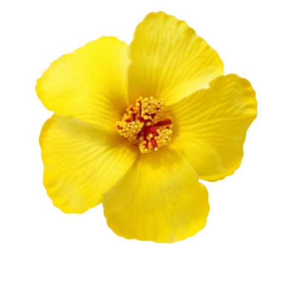 Artificial Hibiscus Flower Hair Clip Strong Secure For Weddings Parties And Beach Vacation Women Hair Decoration