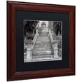 thumbnail image 2 of Trademark Fine Art "Liguria II" Canvas Art by Alan Blaustein, Black Matte, Wood Frame, 2 of 4