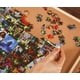thumbnail image 4 of Collage de rompecabezas Toynk X-Treme Games de 1000 piezas, 4 of 7