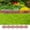 Brown, variant on vidaXL Lawn Edgings 17 pcs Anthracite 32.8' PP