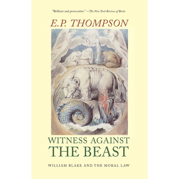 Witness Against the Beast: William Blake and the Moral Law, (Paperback)