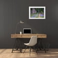 thumbnail image 3 of Rotenberg, Nancy 14x11 White Modern Wood Framed Museum Art Print Titled - CO, Crested Butte Fenced trail through lupine, 3 of 4
