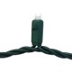 thumbnail image 2 of Cadena de luces Celebrations Grand Mini Convex, 50 LED, 7,6 m, 2 of 3