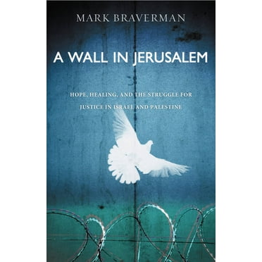 A Wall in Jerusalem : Hope, Healing, and the Struggle for Justice in Israel and Palestine (Paperback)