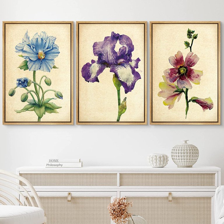 PixonSign Framed Wall Art Print Set Vintage Watercolor Iris Flower Variety  Floral Wilderness Illustrations Modern Art Glam Colorful Cool for Living  Room, Bedroom, Office - 24x36x3 Natural 