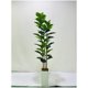 thumbnail image 1 of 6-ft de altura artificial qinye banyan tree con blanca planter, natural wood trunk, ideal para para home decor, faux ficus tree con fake moss para indoor oficina o sala de estar, 1 of 10
