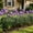 #196Black, variant on Garden Fencing Floral and Bird Design, White Decorative Picket Fence for Vegetable Garden Yard, School and Flower Bed Edging, Weatherproof PVC Home Decor Border