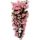 thumbnail image 1 of 4 pétalos que cuelgan flores artificiales, Wisteria que cuelgan flores artificiales para la decoración del hogar de la boda (rosa claro) Sincero  Hogar, 1 of 2