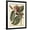 Black Frame, variant on Art.com Petite Dragonflies V Art Print by Vision Studio, 12" x 16"