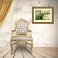 thumbnail image 3 of Szilagyi, Ily 32x23 Gold Ornate Wood Framed with Double Matting Museum Art Print Titled - Big and Bright, 3 of 4