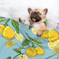 thumbnail image 3 of Yiaed Lemon Print Dog Blankets-Cat Blanket Washable for Couch Protection,Puppy Blanket, Soft Plush Reversible Throw Furniture Protector-, 3 of 8