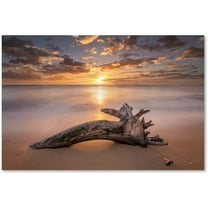 Trademark Fine Art 'Beach Tree Sunrise' Canvas Art by Pierre Leclerc