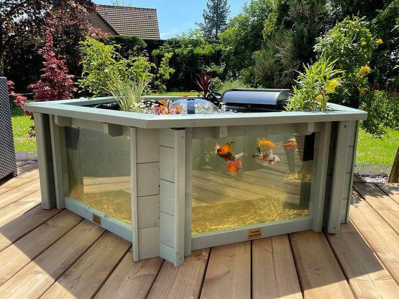 Raised Hexagon Wood Pond with Large Windows  - Lily Clear View Garden Aquarium  in Green 172 Gallon