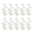 thumbnail image 1 of Uxcell 7" Flores de Orquídea Artificial para Velas Flotantes Simulación Rellenos de Jarrón Blancos 16 Pcs, 1 of 5