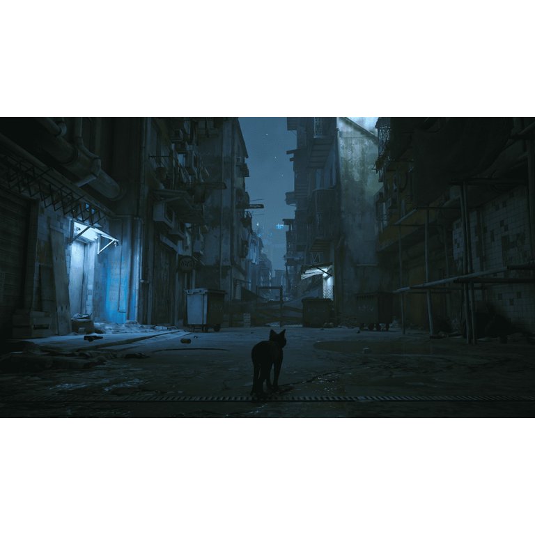 Nintendo Switch - しんたろう Stray, Nintendo Switch - Walmart.com