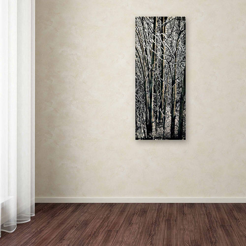 Trademark Fine Art "Aspen Winter Panel 03" Canvas Art by Roderick Stevens