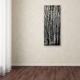 thumbnail image 3 of Trademark Fine Art "Aspen Winter Panel 03" Canvas Art by Roderick Stevens, 3 of 3