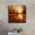thumbnail image 3 of Epic Graffiti 'Floating Down The River' by Philippe Sainte-Laudy, Canvas Wall Art, 18"x18", 3 of 8