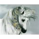 thumbnail image 1 of Kits de pintura de diamantes de animales coloridos, decoración de pared de diamantes de imitación, bordado, punto de cruz, artesanía Inevent HA6278-06B, 1 of 6