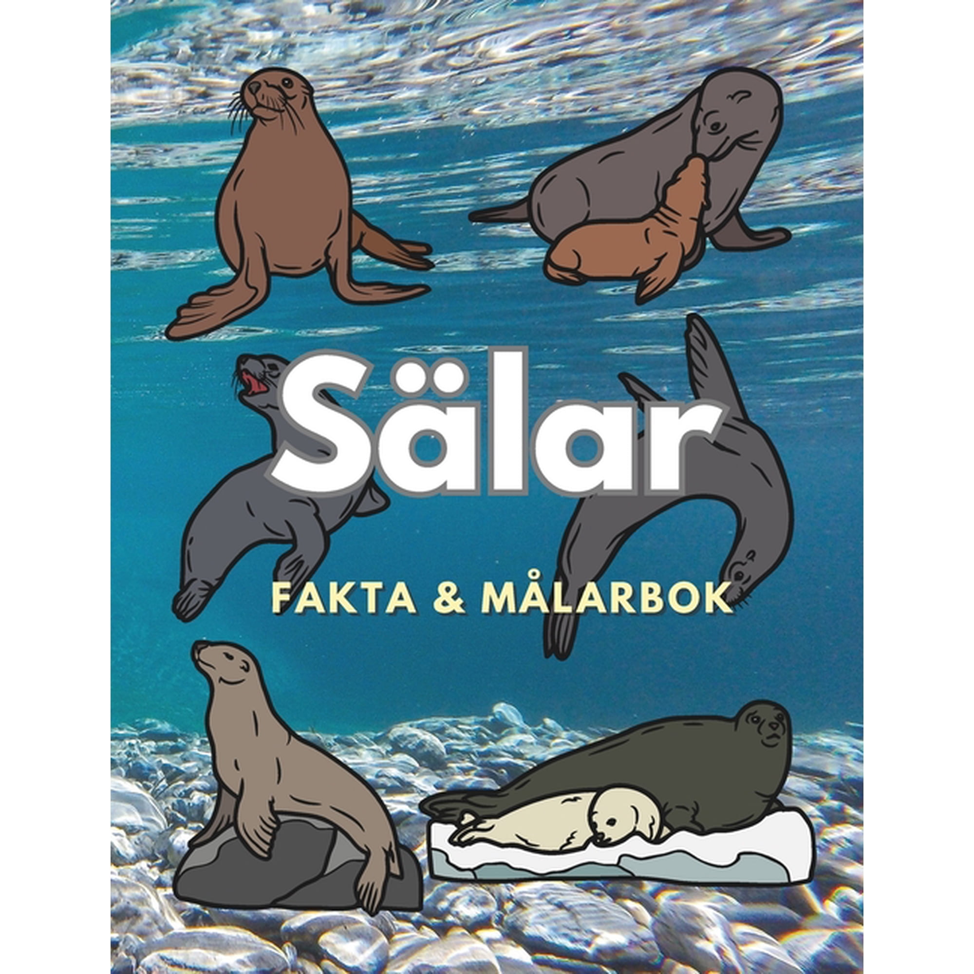 S&Atilde;&curren;lar: Fakta och m&Atilde;&yen;larbok: F&Atilde;&curren;rgl&Atilde;&curren;ggningsbok f&Atilde;&para;r barn i &Atilde;&yen;ldrarna 2 till 16 &Atilde;&yen;r (Paperback)