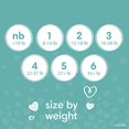 thumbnail image 3 of Pampers Baby Dry - Pa&ntilde;ales Etapa 5, 132 Piezas. Para beb&eacute;s de 12+ Kg. Pampers NA, 3 of 10