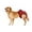 Red, variant on kladzum Dog Diapers Dogs Physiological Pants Sanitary Diaper Menstruation Underwear Briefs Dog Accessories
