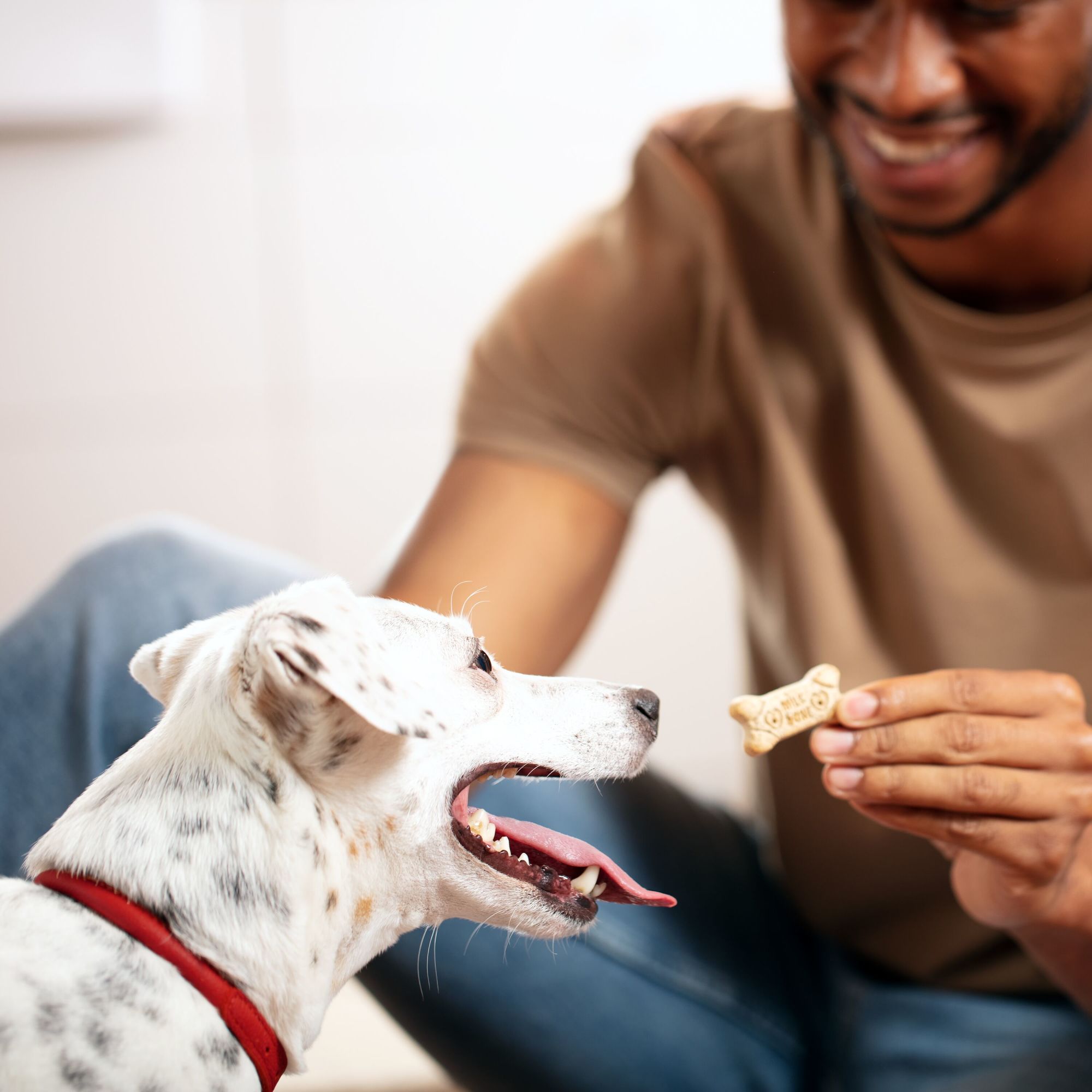 Milk-Bone Original Dog Biscuits, Medium Crunchy Dog Treats, 10 lbs. - image 4 of 10