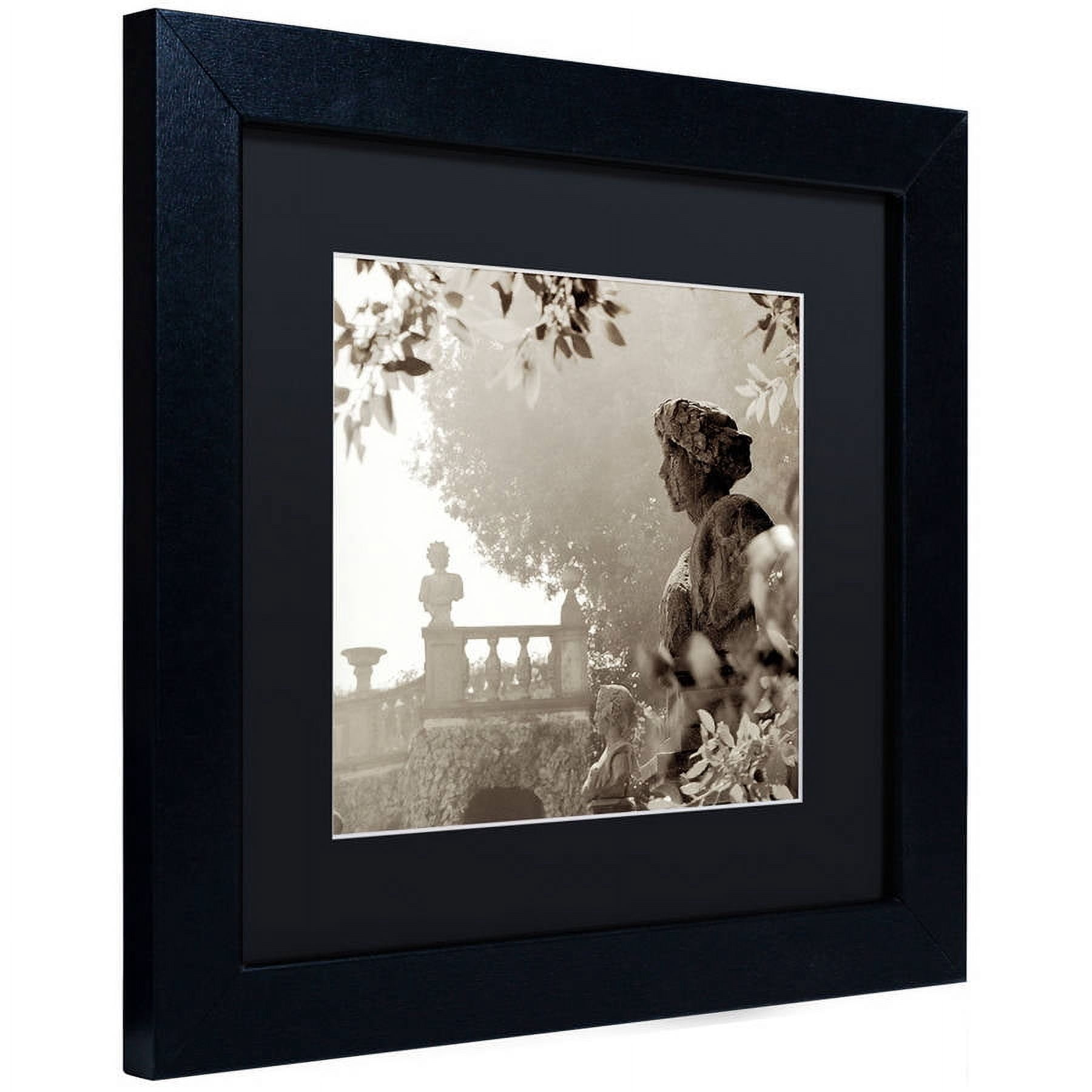 Trademark Fine Art "Tuscany VIII" Canvas Art by Alan Blaustein, Black Matte, Black Frame
