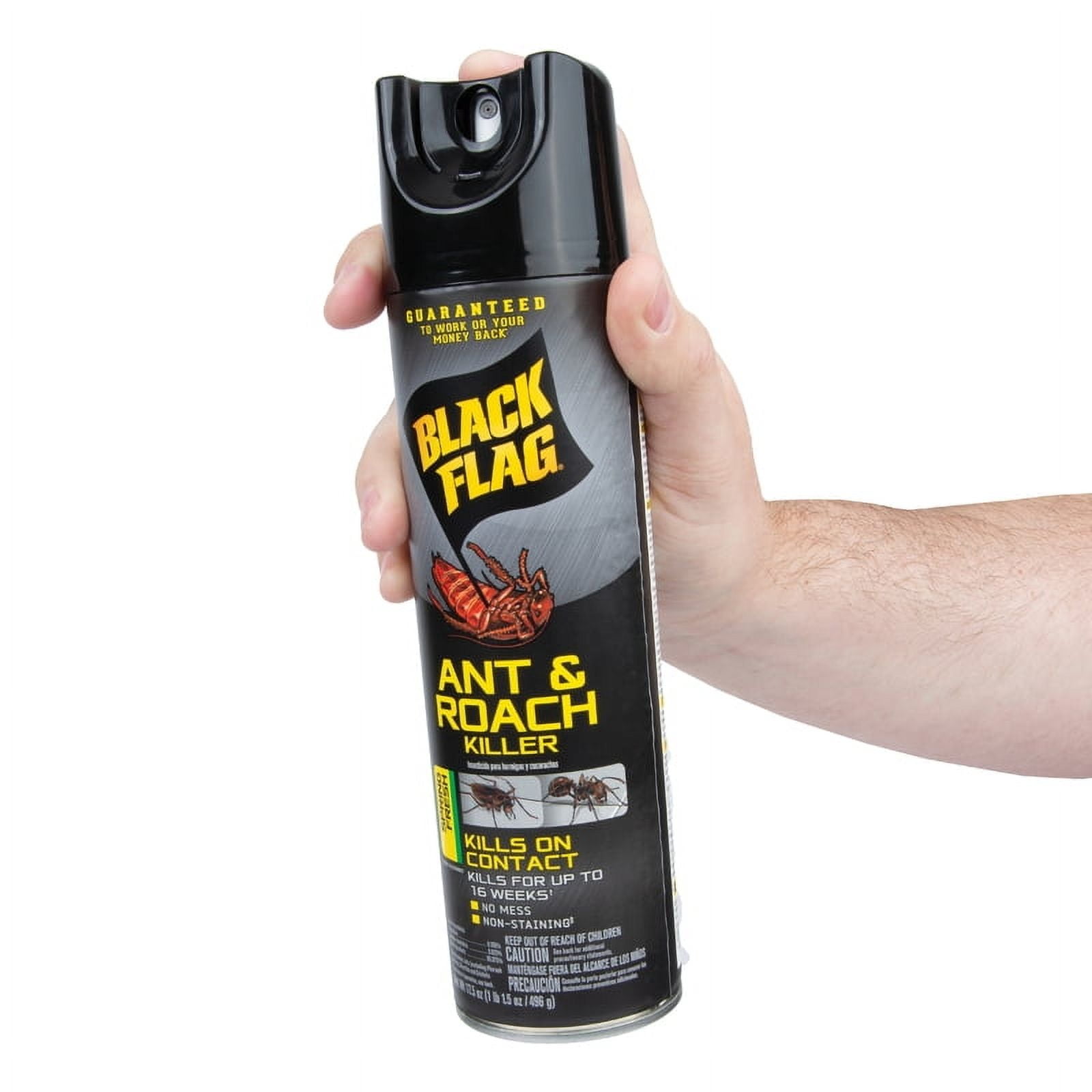Black Flag Ant & Roach Killer Spring Fresh Scent Aerosol Spray, 17.5 oz, Can