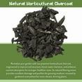 thumbnail image 5 of Horticultural Charcoal for Indoor Plants (2 Quarts), Hardwood Soil Additive for Orchids, Terrariums, and Gardening, 5 of 10