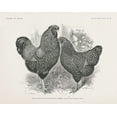 thumbnail image 2 of Wild Apple Portfolio 32x26 Black Ornate Wood Framed with Double Matting Museum Art Print Titled - Vintage Farm Life I, 2 of 4
