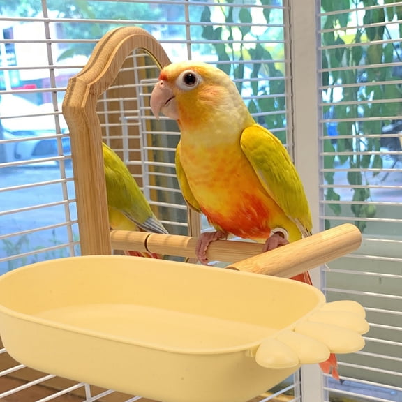 FUTUREORYY Practical Yellow Bird Bath Basin, Sturdy Plastic for Cage Bathing