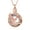 Rose, variant on Stainless Steel Tree of Life Eagle Cremation Urn Pendant Memory Necklace Necklace for Cremation Ashes Keepsake Memorial Jewelry