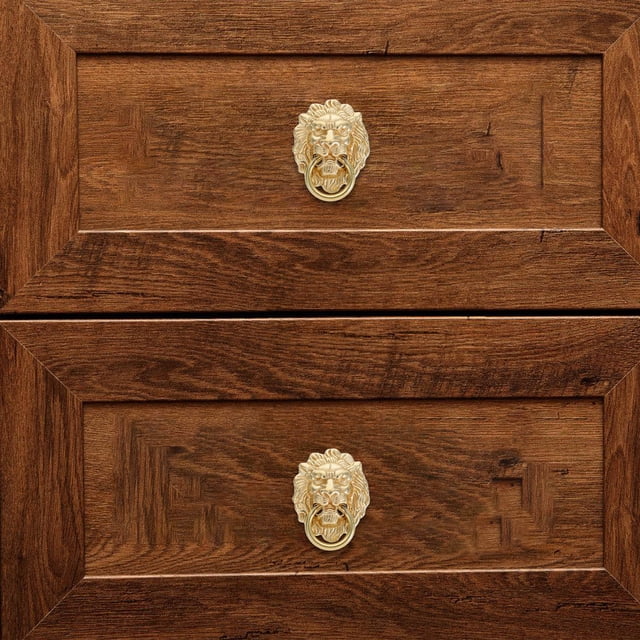 WHAMVOX 2 Pcs Poignée de Porte Ornée Lion Doré en Laiton pour Décoration Intérieure et Matériel de Mobilier