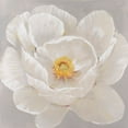 thumbnail image 2 of OToole, Tim 26x26 White Modern Wood Framed Museum Art Print Titled - White Peony II, 2 of 4