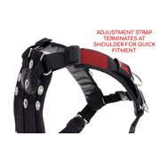 Dive Rite TransPac XT
