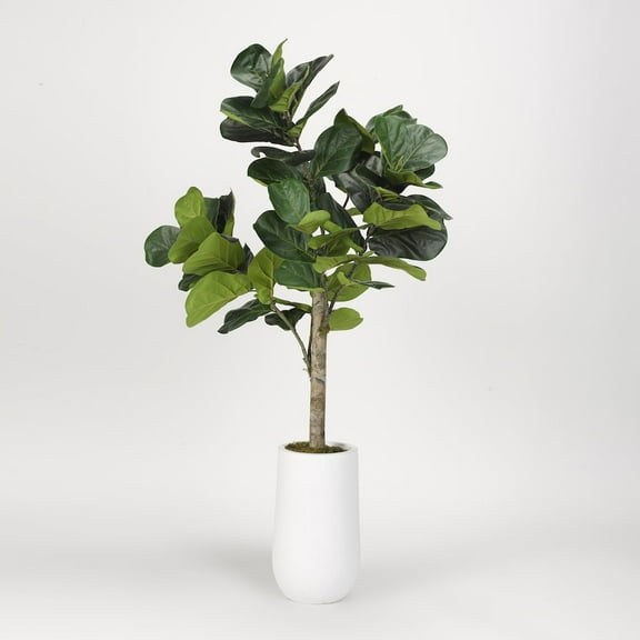 D&W Silks 5.5' Fiddle Leaf Fig Tree in Tall Round White Resin Planter