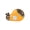 Orange, variant on HOARBOEG Automatic Electric Nail File & Clipper for Teens, Adults & Seniors - 3-Speed Quiet Nail Trimmer, Snail Shaped Nail Grinder for Toe and Fingernails Care