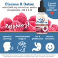 thumbnail image 2 of Suplemento Zeolite Detox Kidz Cleanse con metil B12 y D3, 60 ml, 2 of 6