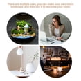 thumbnail image 3 of SHISUYAN Desktop Fish Tank Simple Design DIY Enthusiasts 1Set 5.5x5.1x5.1in, 3 of 9