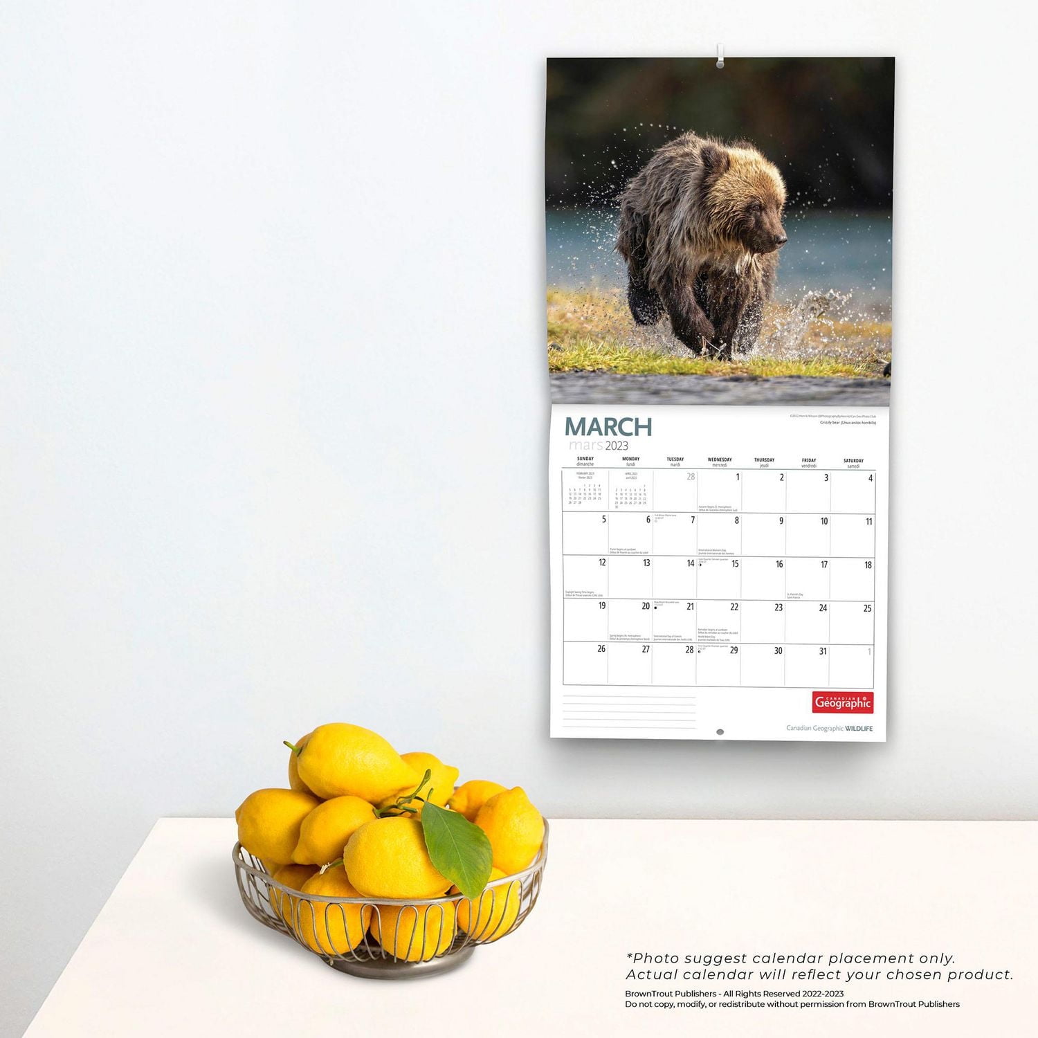 Canadian Geographic Wildlife | 2023 12x24 Inch Square Wall Calendar