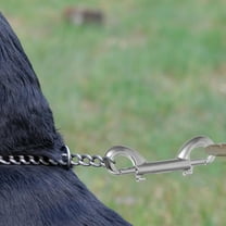 Masteelf 10pcs Bolt Snaps Zinc Alloy Hooks Heavy Duty Rope Hooks Double Ended Snap Hooks Clip Key Holder For Water Bucket Dog Leash