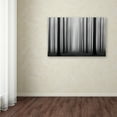 thumbnail image 3 of Jochen Bongaerts 'Labyrinth' Canvas Art, 3 of 3