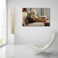 thumbnail image 6 of Epic Art 'Couch Potato' by Lucia Heffernan, Acrylic Glass Wall Art, 36"x24", 6 of 8