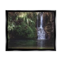 Stupell Industries Tranquil Waterfall Rainforest Environment Nature Clearing Photography Photograph Jet Black Floating Framed Canvas Print Wall Art, Design by Daphne Polselli