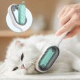 thumbnail image 4 of Peine flotante de limpieza para gatos, cepillo de depilación con toallitas desechables, accesorios de aseo para mascotas, 4 of 4