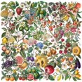 thumbnail image 1 of Paquete de pegatinas botánicas para frutas y verduras, 50 unidades, transparentes, 1 of 2