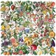 thumbnail image 1 of Paquete de pegatinas botánicas para frutas y verduras, 50 unidades, transparentes, 1 of 2